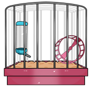 The Cage By ShopNoonish